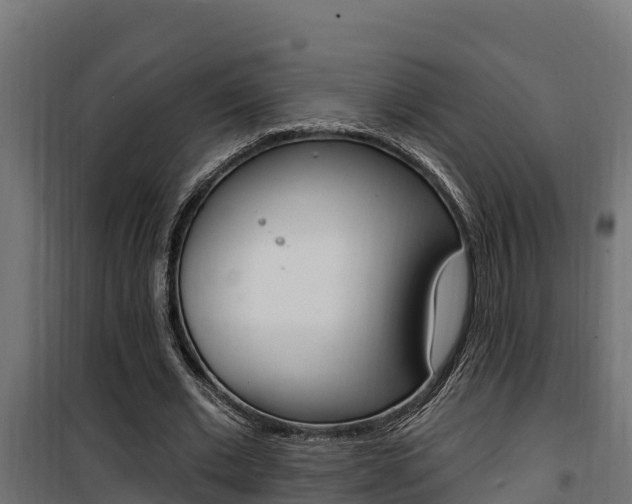 X0000100780677200806191017