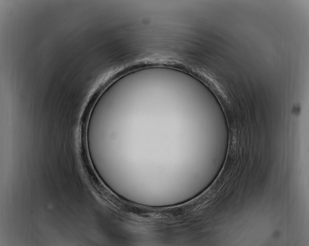 X0000100780678200806191017