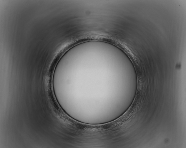 X0000100780679200806191017