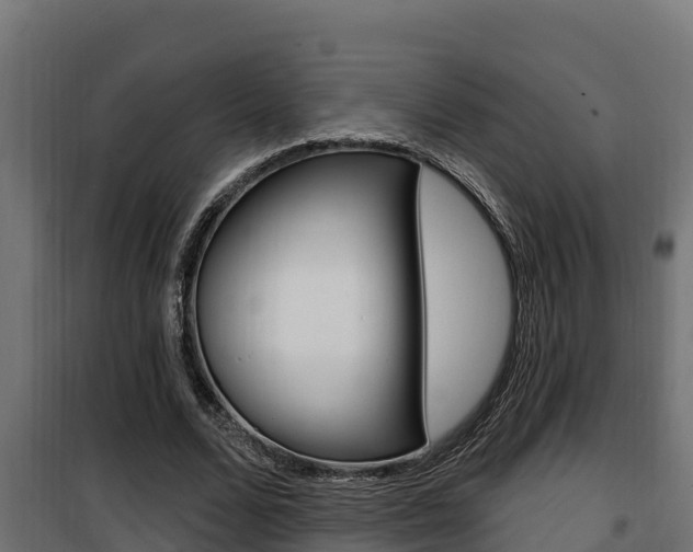 X0000100780680200806191017