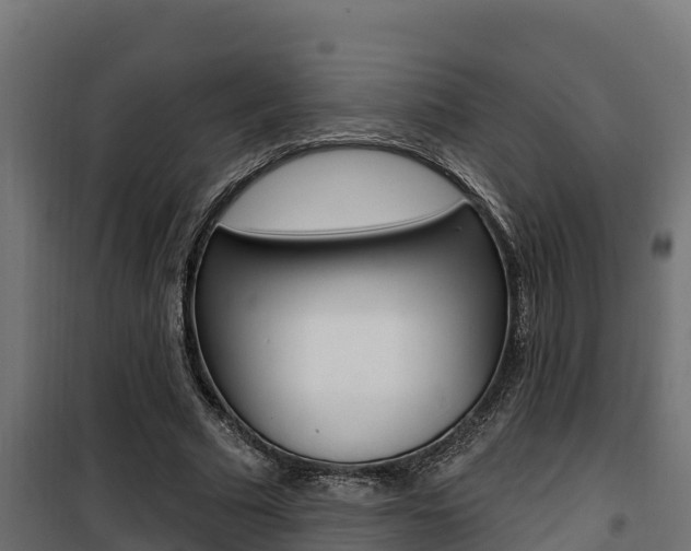 X0000100780681200806191017