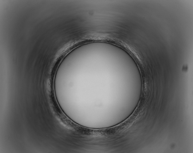 X0000100780682200806191017