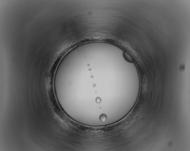 X0000100780683200806191017