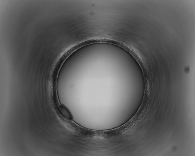 X0000100780684200806191017