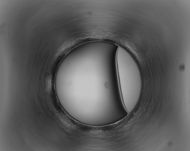 X0000100780685200806191017