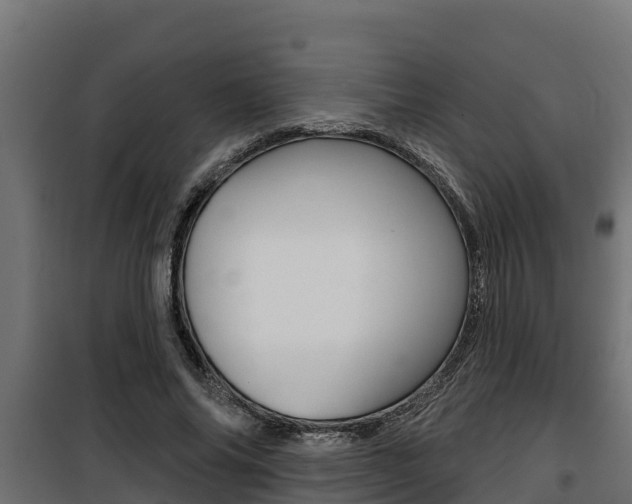 X0000100780686200806191017