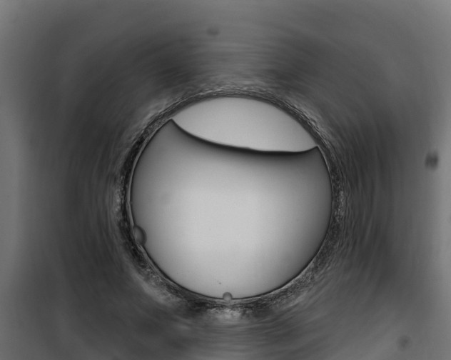 X0000100780687200806191017