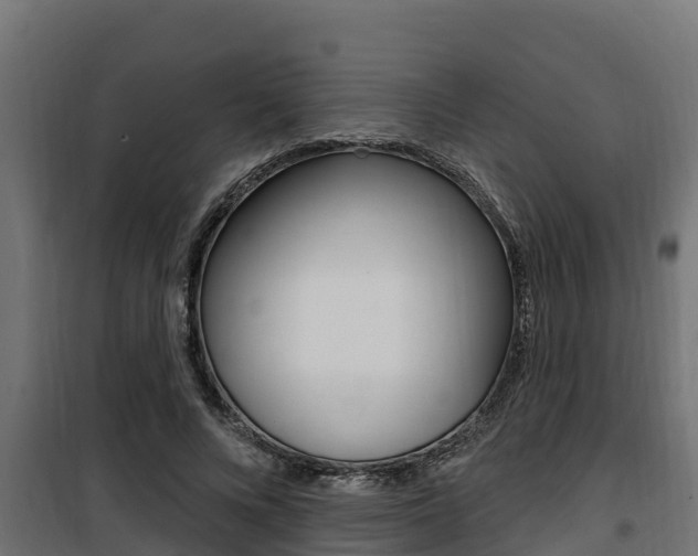 X0000100780688200806191017