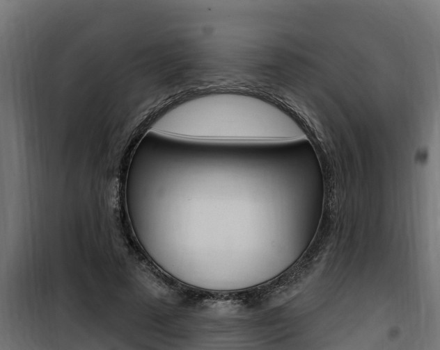 X0000100780689200806191017