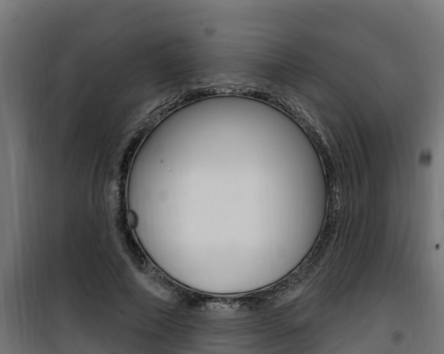 X0000100780690200806191017