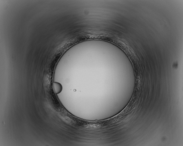 X0000100780691200806191017