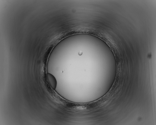 X0000100780692200806191017