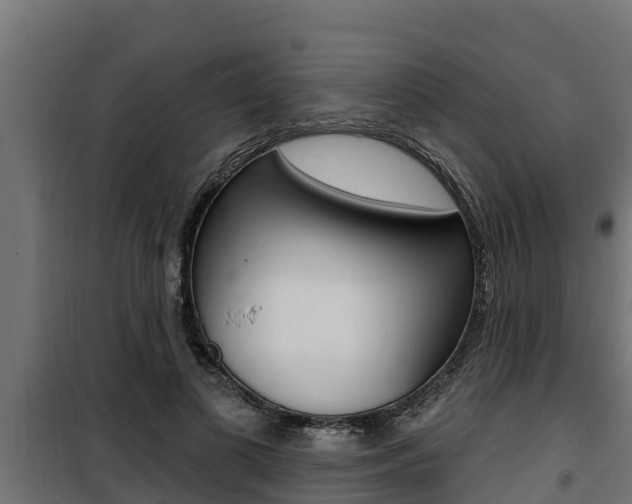 X0000100780693200806191017