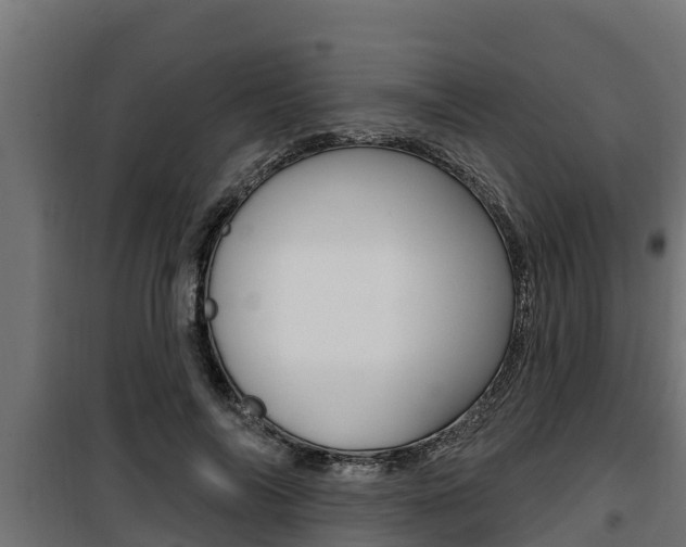 X0000100780694200806191017