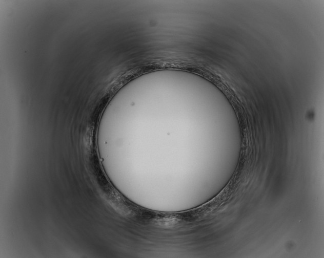 X0000100780695200806191017