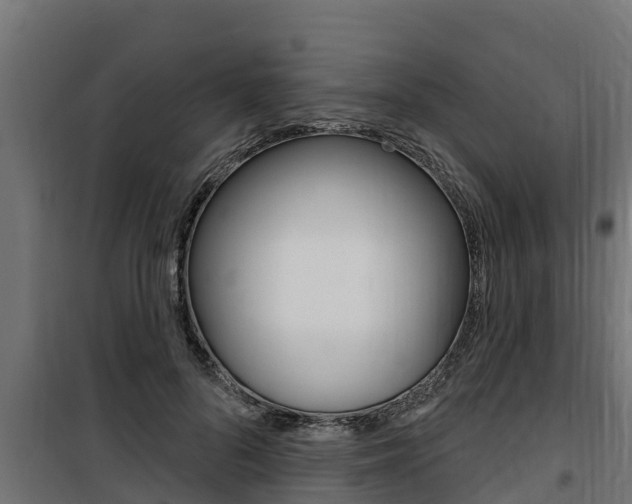 X0000100780696200806191017