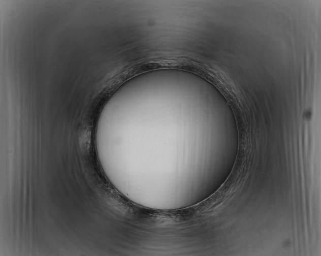 X0000100780697200806191017