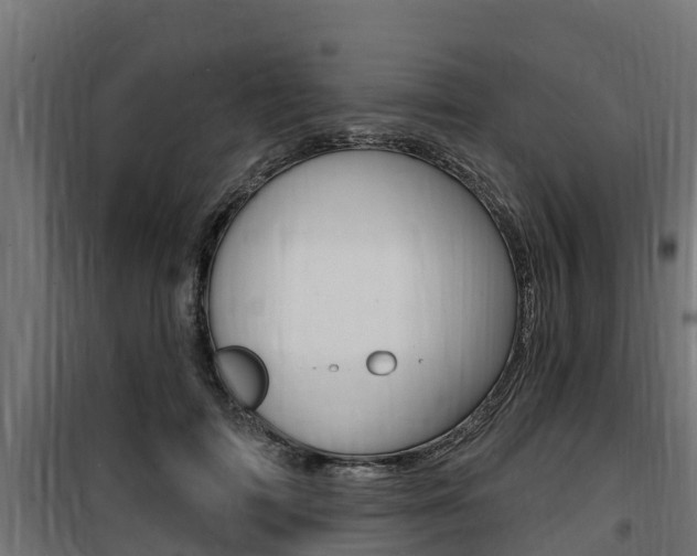 X0000100780698200806191017