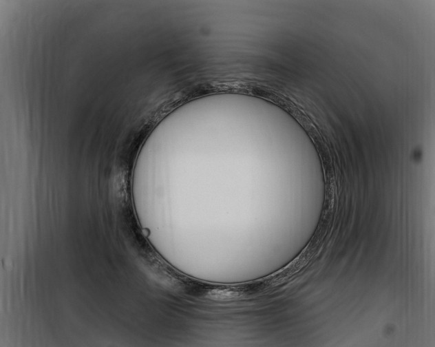 X0000100780699200806191017