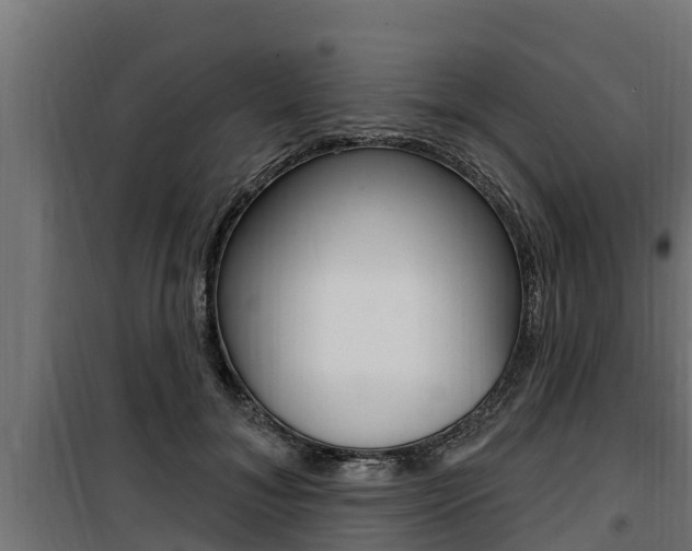 X0000100780700200806191017