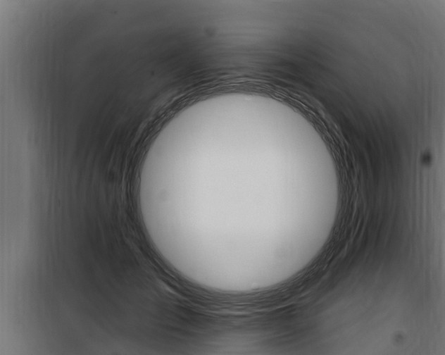 X0000100780701200806191017