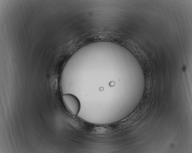 X0000100780703200806191017