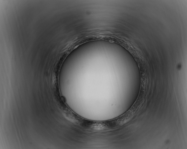 X0000100780704200806191017