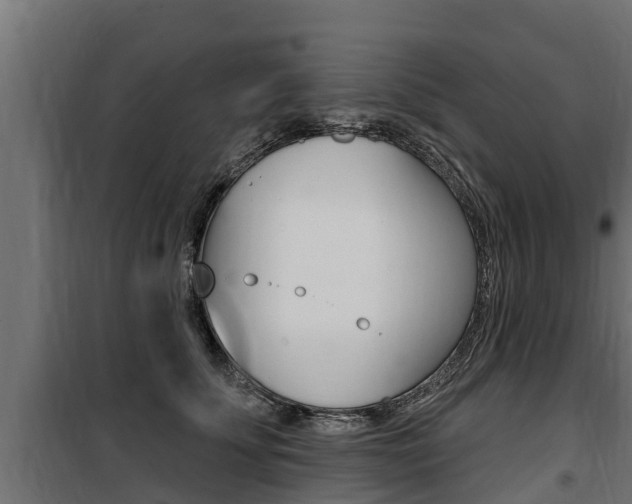 X0000100780707200806191017