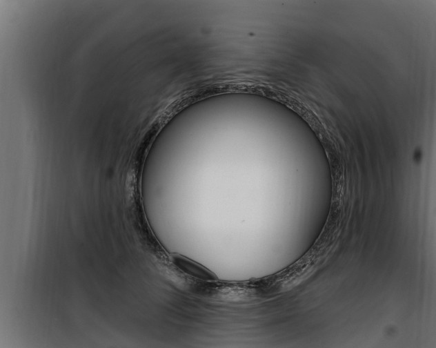 X0000100780708200806191017