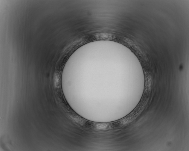 X0000100780709200806191017