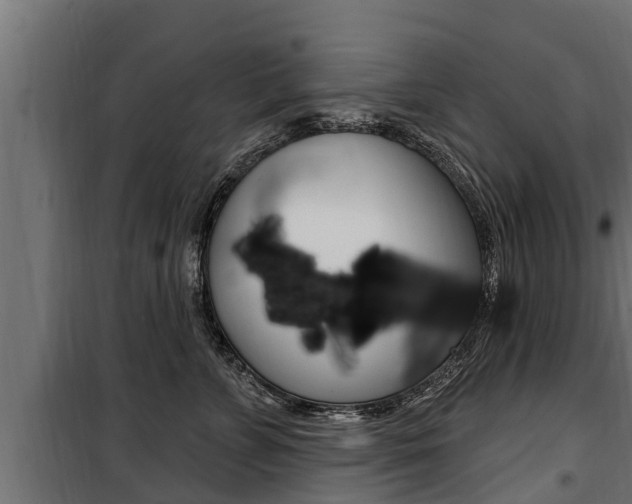 X0000100780715200806191017