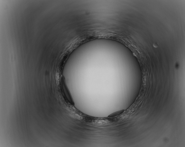 X0000100780716200806191017