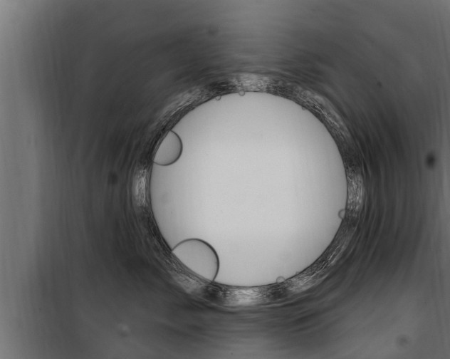 X0000100780717200806191017