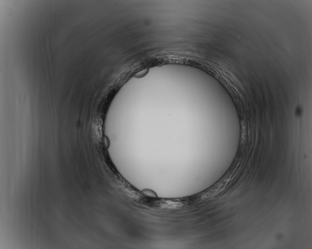 X0000100780718200806191017