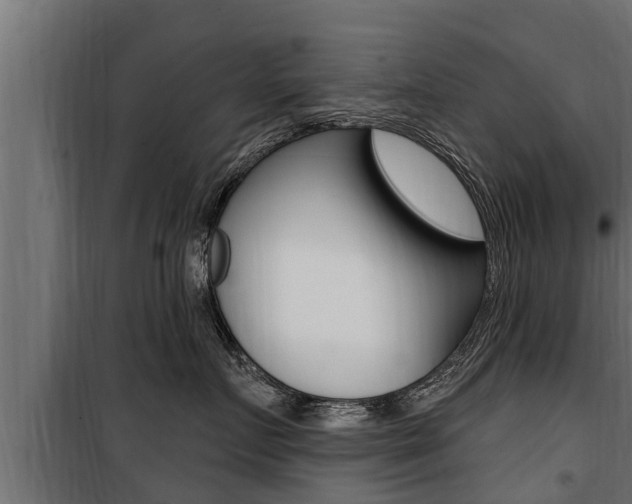 X0000100780719200806191017