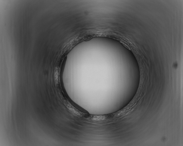 X0000100780720200806191017