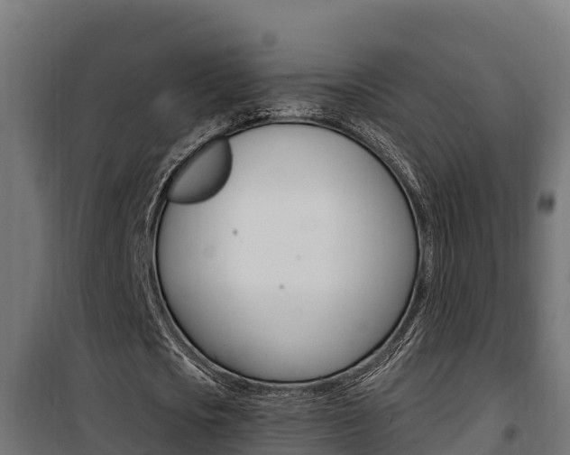 X0000100780721200806191016