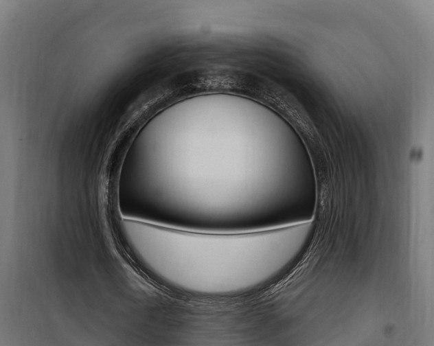 X0000100780722200806191016