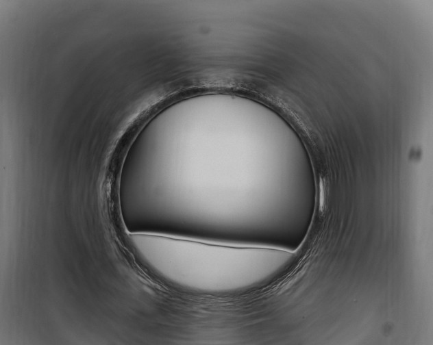 X0000100780723200806191016