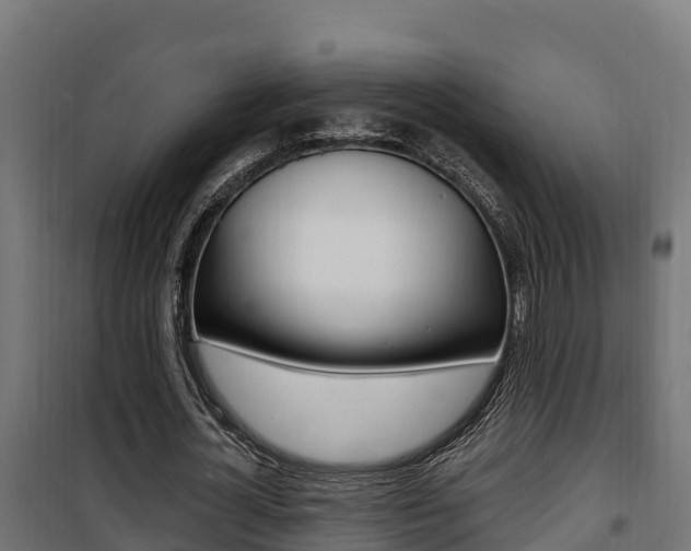 X0000100780724200806191016