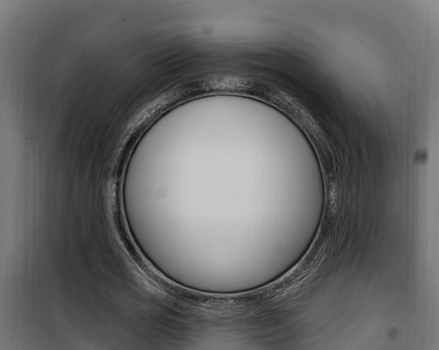 X0000100780725200806191016