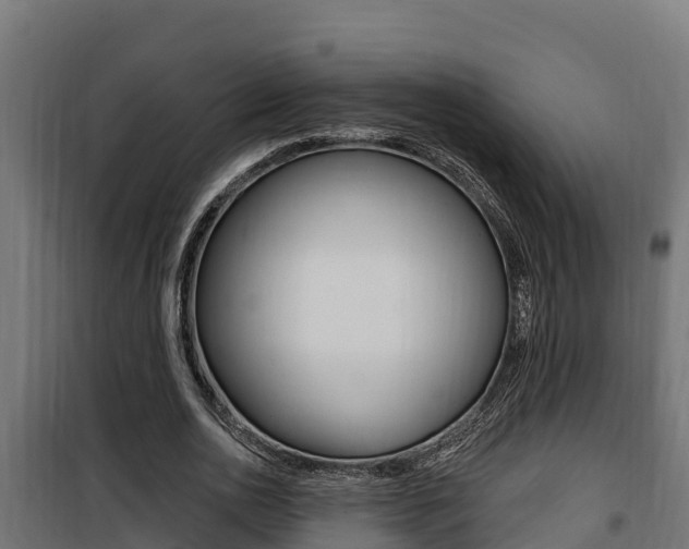 X0000100780726200806191016