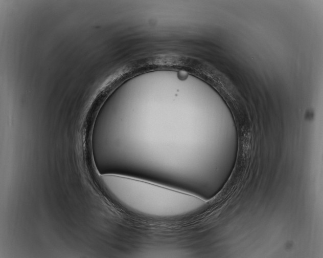 X0000100780727200806191016