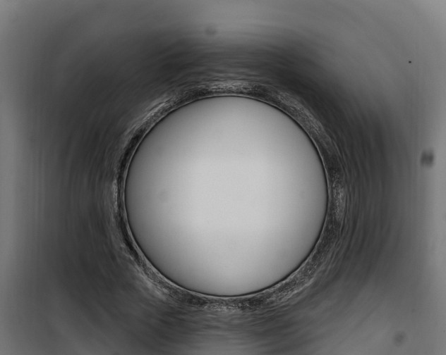 X0000100780729200806191016