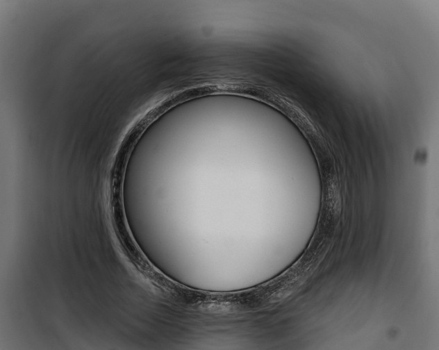 X0000100780730200806191016