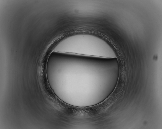 X0000100780731200806191016