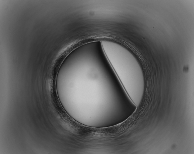 X0000100780732200806191016