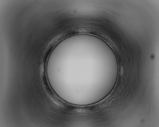 X0000100780733200806191016