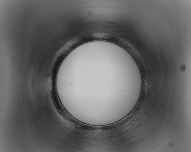 X0000100780734200806191016