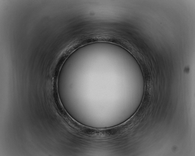 X0000100780735200806191016